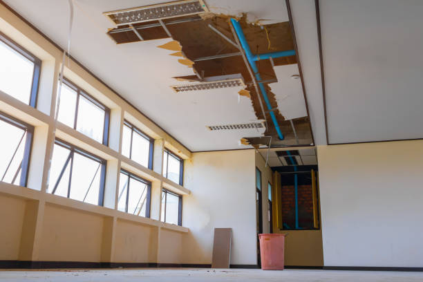 Best Local water damage restoration  in Grundy, VA