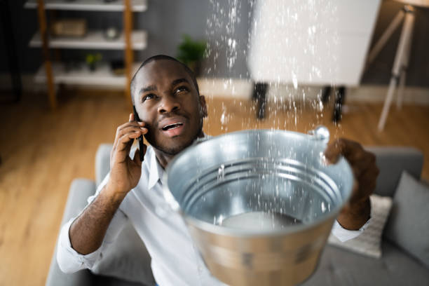 Best Water damage contractors near me  in Grundy, VA