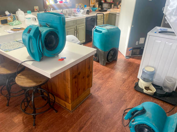  Grundy, VA Water damage restoration Pros