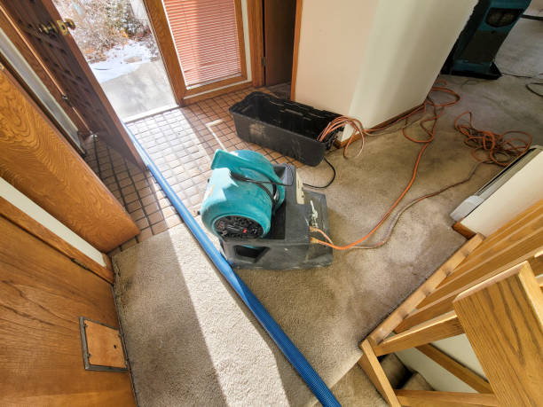Best Emergency water damage restoration  in Grundy, VA