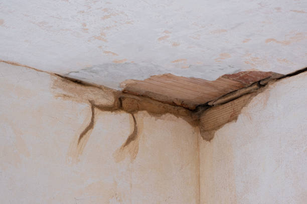 Best Fire Damage Restoration  in Grundy, VA