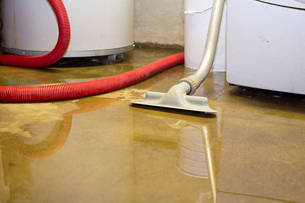 Best Residential water damage restoration  in Grundy, VA