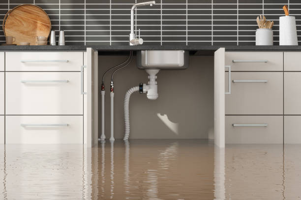 Best 24/7 water damage repair  in Grundy, VA