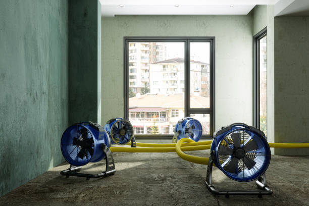 Best 24-hour water damage restoration  in Grundy, VA