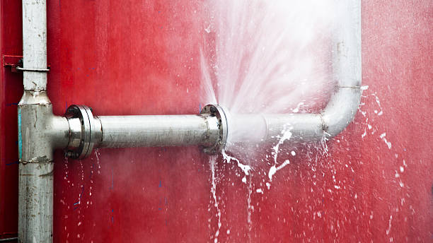 Best Basement water damage restoration  in Grundy, VA